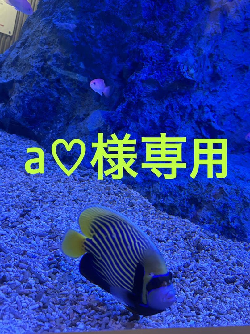 (a♡)ルイヴィトン 2つ折り財布