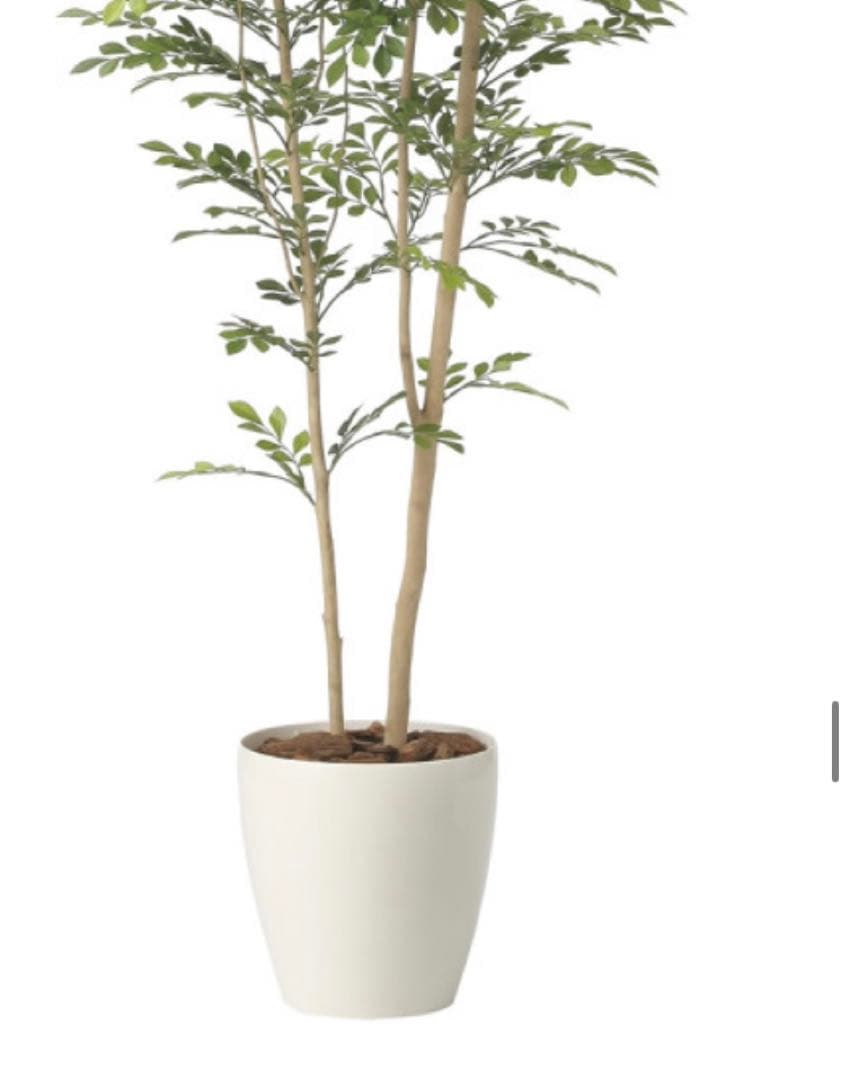 光触媒　人工観葉植物　ウォールグリーン　フェイクグリーン　ツートントネリコ1.6