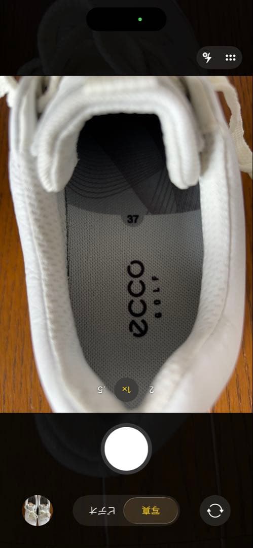 【新品】ecco 23 バイオム　ハイブリッド ゴルフシューズ　レディース