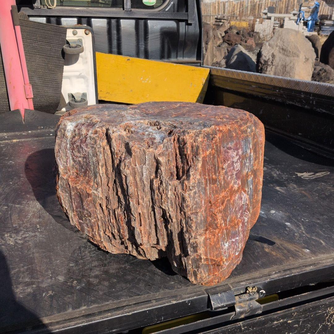 アリゾナ産　珪化木　77キロ　庭石　石 鑑賞石　石材　置物　オブジェ　インテリア