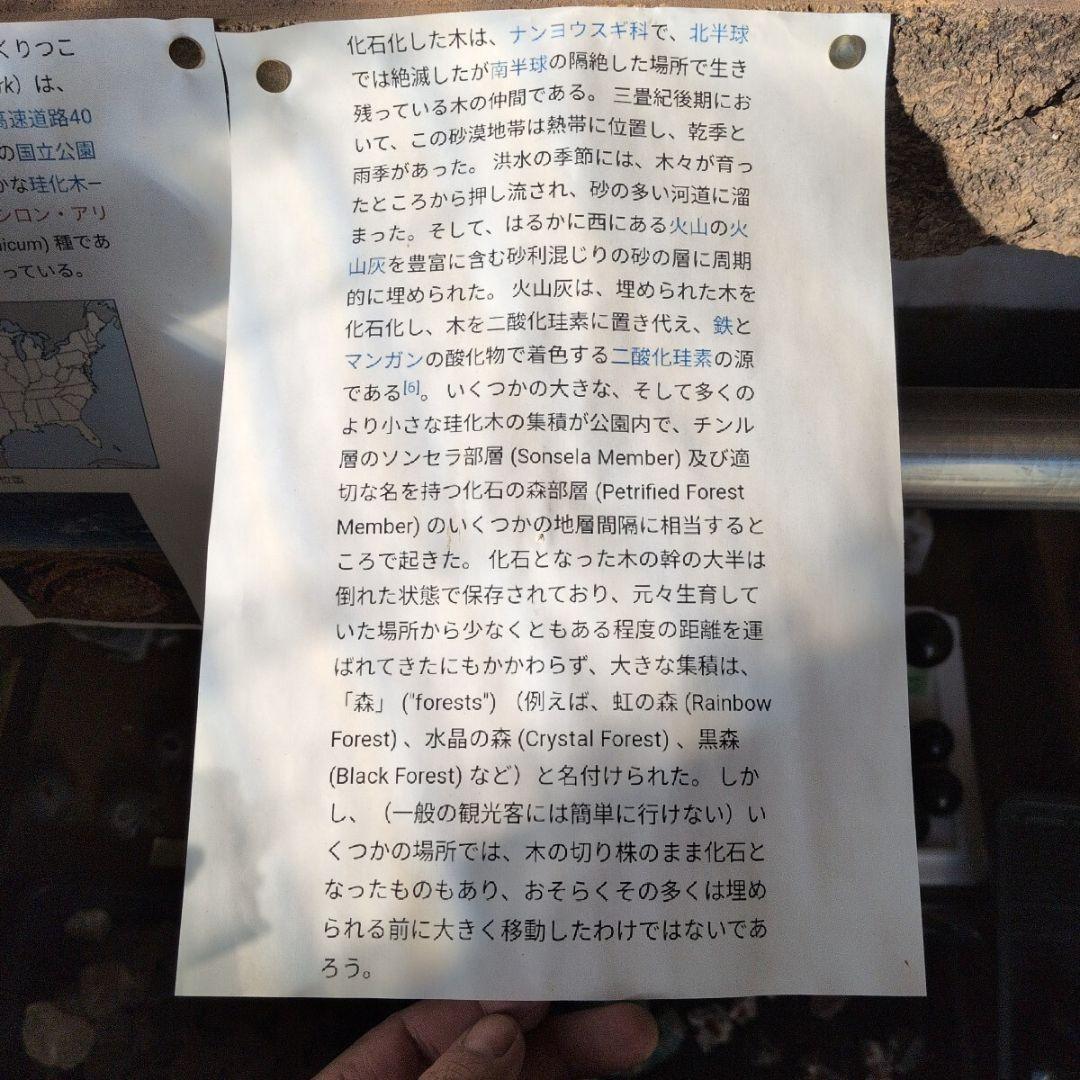 アリゾナ産　珪化木　77キロ　庭石　石 鑑賞石　石材　置物　オブジェ　インテリア