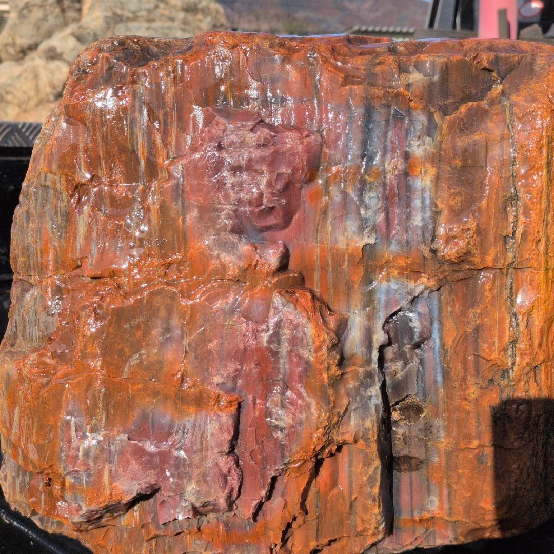 アリゾナ産　珪化木　77キロ　庭石　石 鑑賞石　石材　置物　オブジェ　インテリア