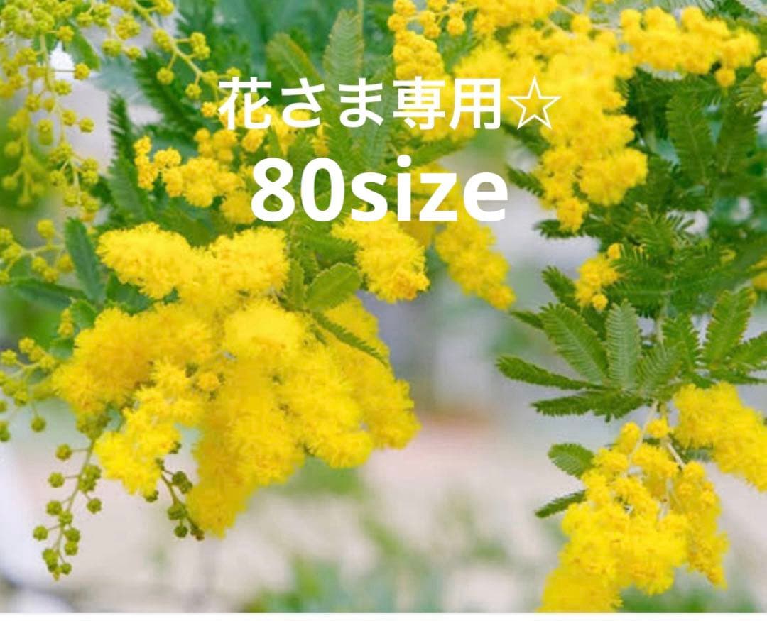 ミモザ専用出品