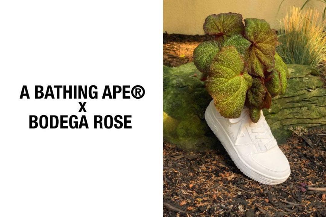 激レア　Bape x Bodega Rose Bapesta プランター　未使用