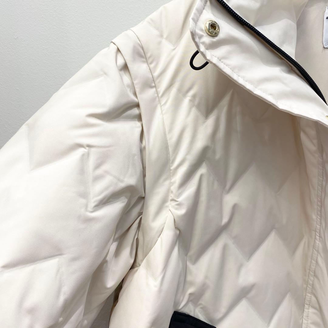 【新品・未使用】RISLEY ダウンマウンテンパーカー