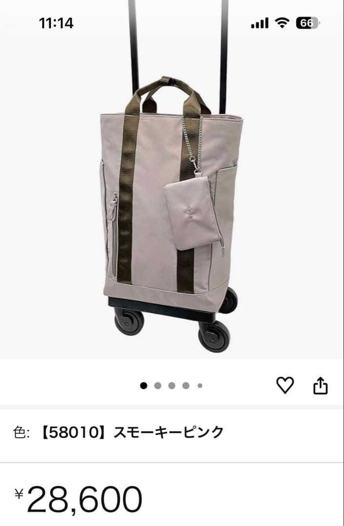 SWANY スワニー　キャリー　東京デリカオリジナルD-580 Lサイズ