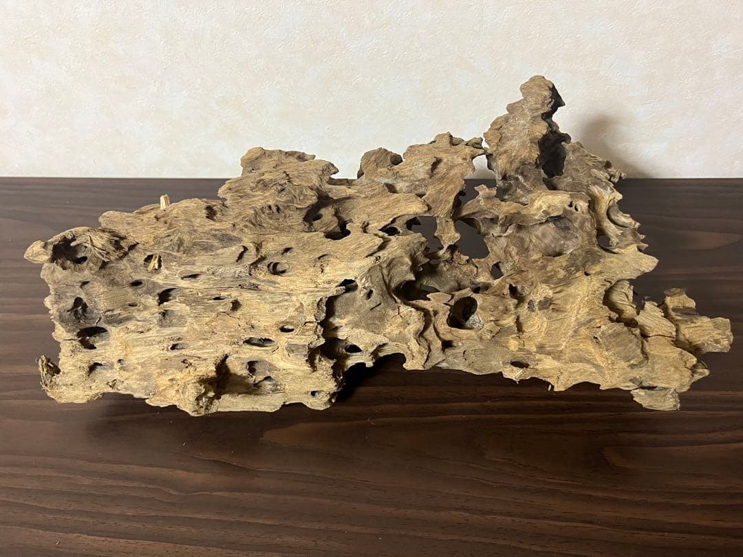 XM-453 流木　マシンガンウッド　アクアリウム　ブランチウッド　沈水確認済