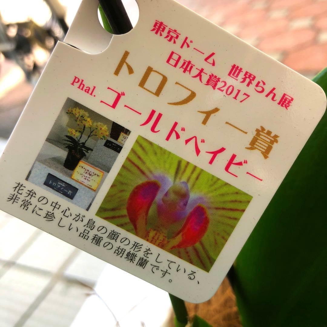 ☆ジュン☆