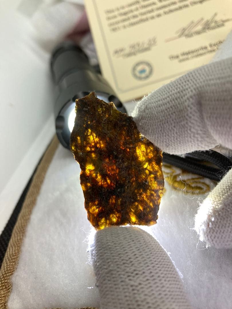 NWA7831ダイオジェナイト5.1g