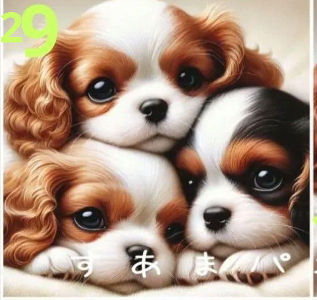 ご確認用　すあま様パネル　わんこ柄12/3 ハンドメイド　ハンカチ