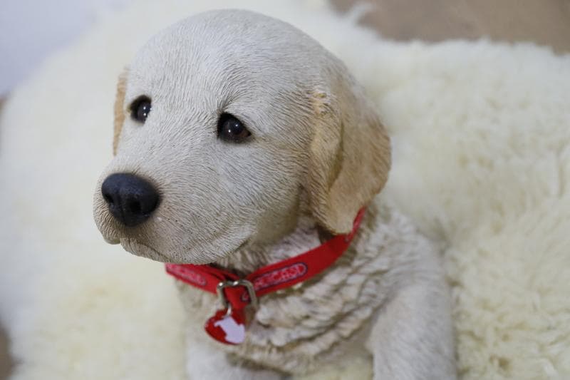 \"飼い主さん\"募集中【犬/ゴールデンレトリバー仔犬】置物◆サンディキャスト