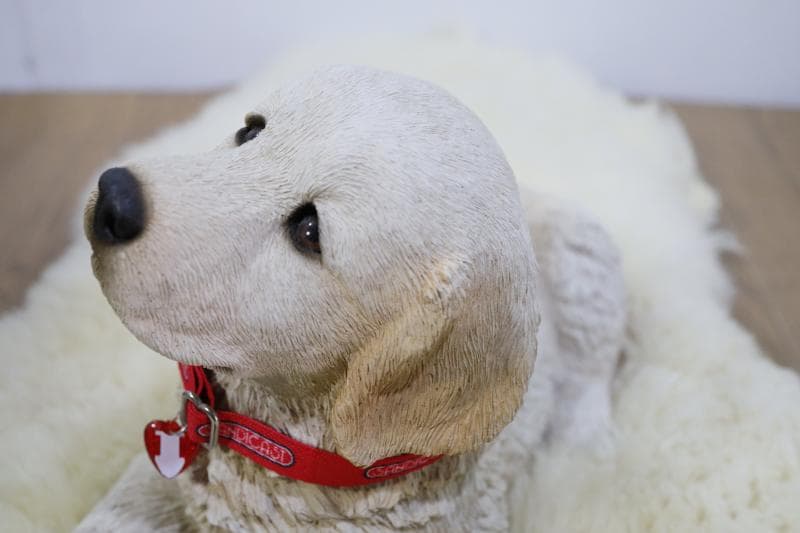 \"飼い主さん\"募集中【犬/ゴールデンレトリバー仔犬】置物◆サンディキャスト