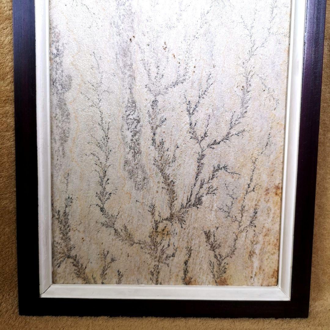 【ブラジル】デンドライト石板額　花草化石　DENDRITOS DO BRAZIL