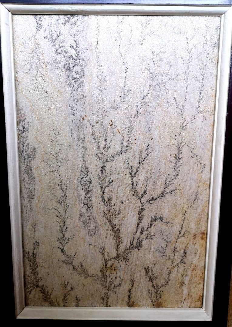 【ブラジル】デンドライト石板額　花草化石　DENDRITOS DO BRAZIL