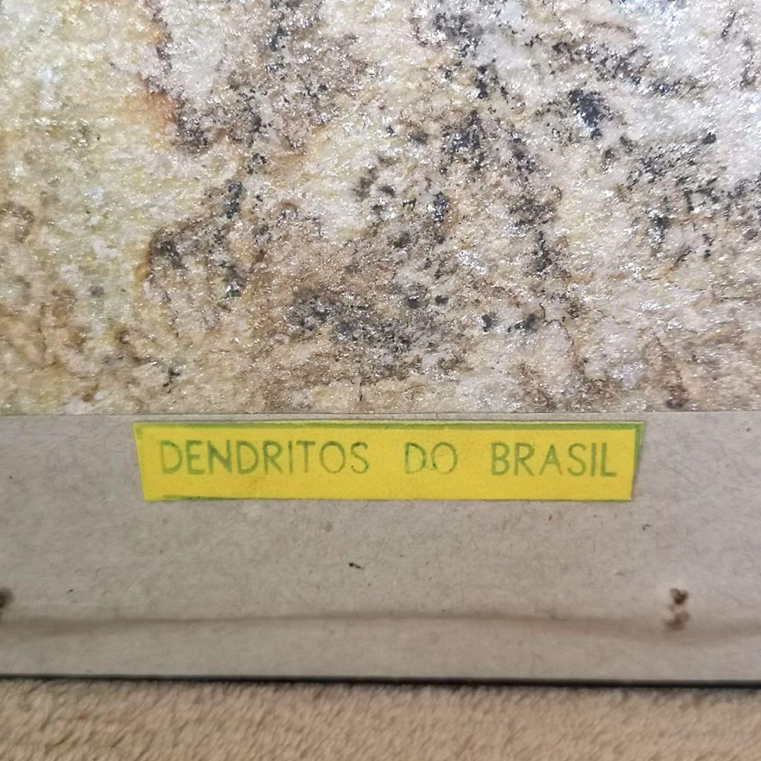 【ブラジル】デンドライト石板額　花草化石　DENDRITOS DO BRAZIL