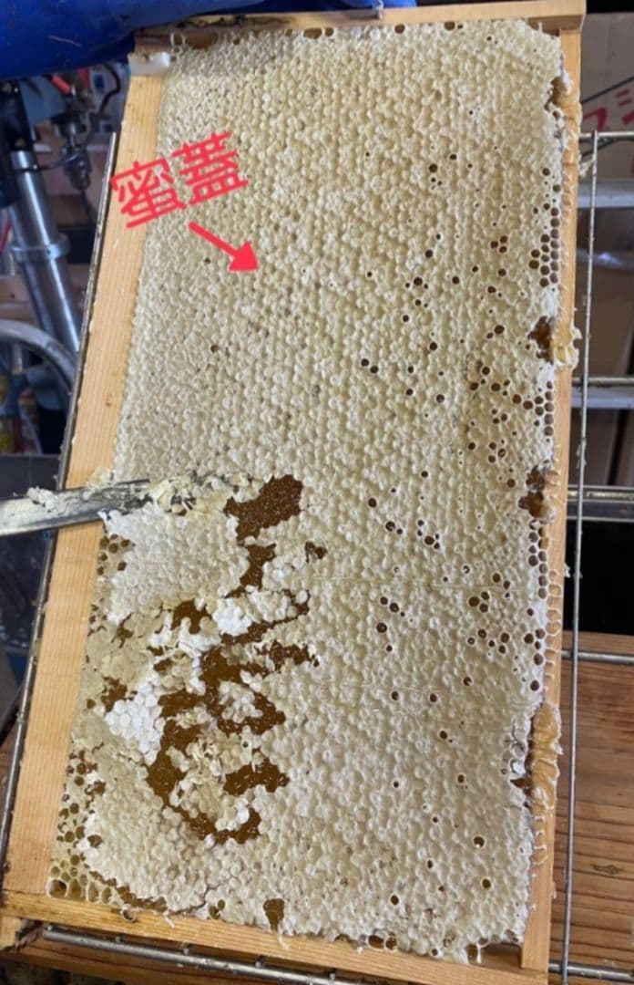 国産天然蜜蝋　ミツロウ　2KG　扱いやすいビーズ型