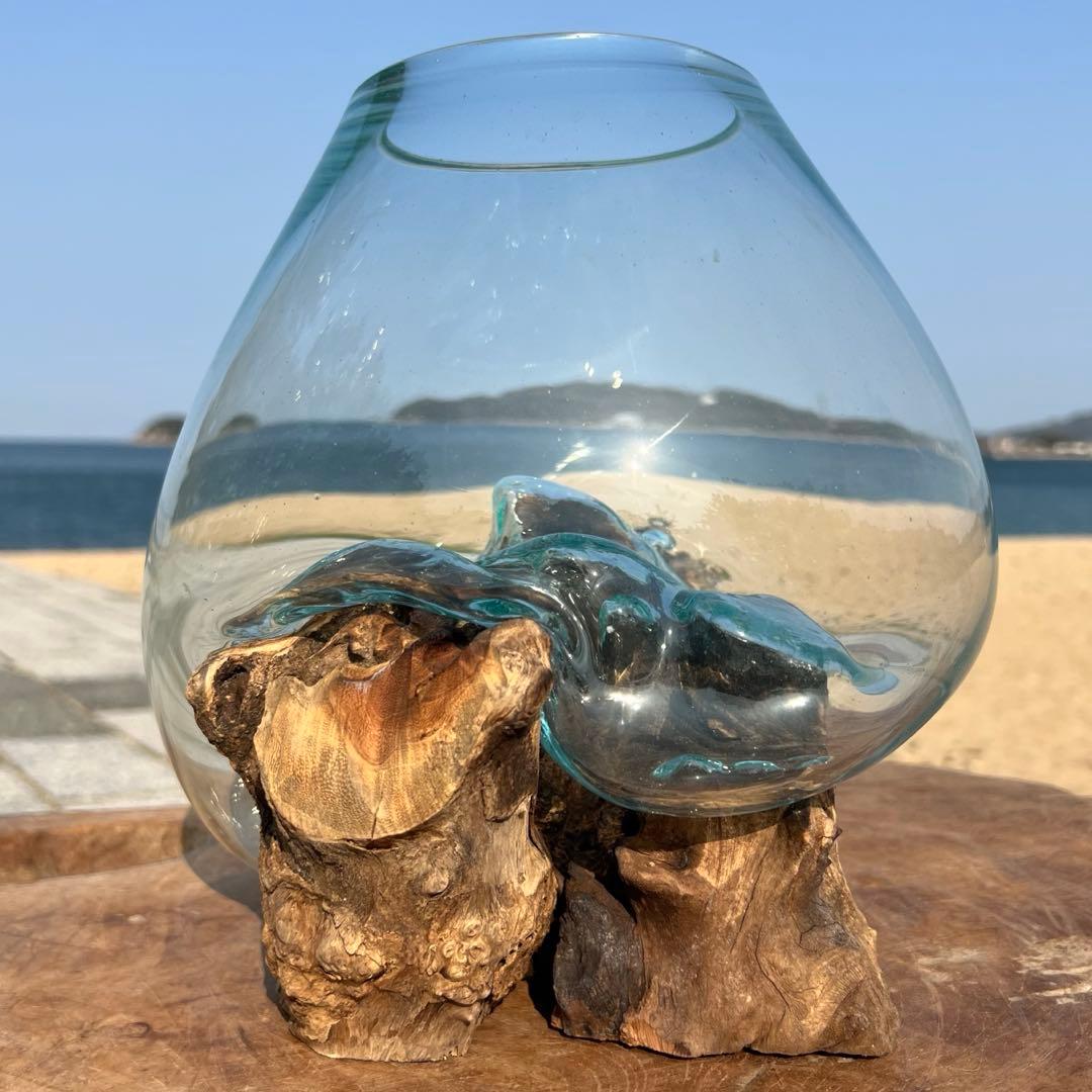 流木ガラス オブジェ特大D 花瓶 金魚鉢 ガーデニング テラリウム 観賞魚 容器