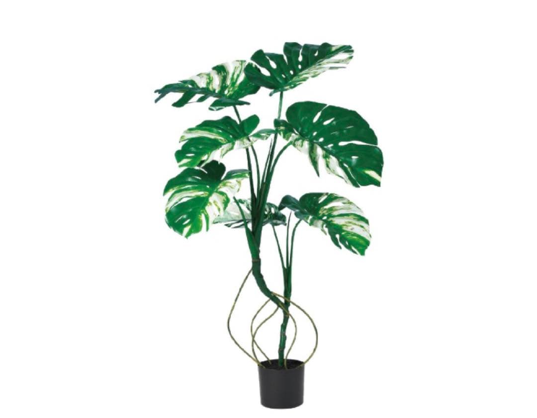光触媒　人工観葉植物　ウォールグリーン　フェイクグリーン　モンステラポット117