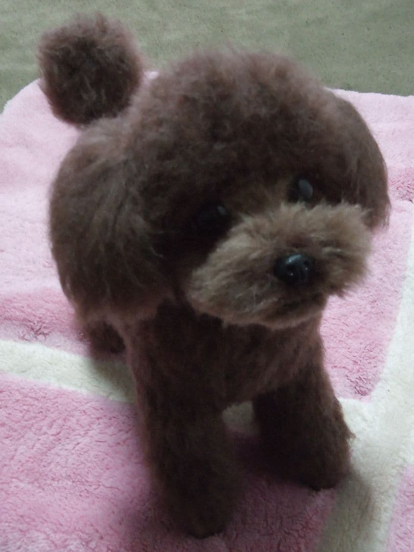 愛犬さんの羊毛フェルトオーダー・マロンチョコ様ご確認専用ページ