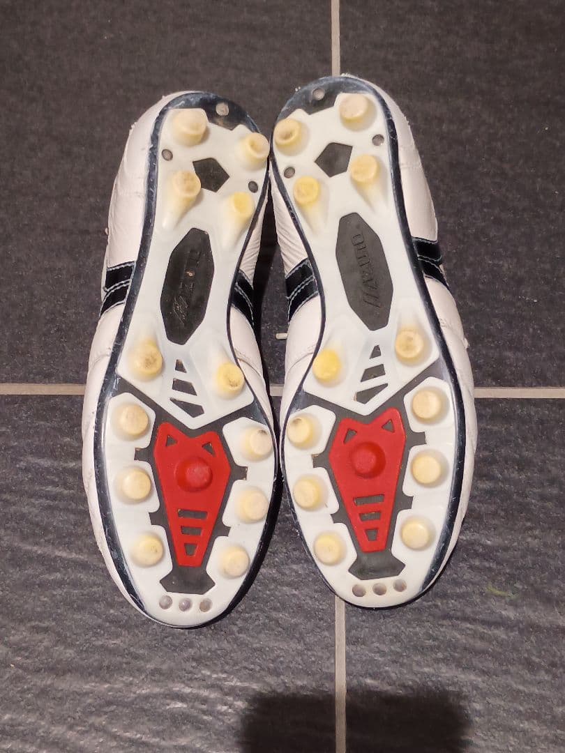 モレリアⅡ JAPAN 24センチ