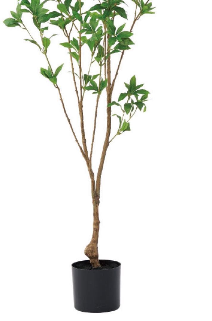 光触媒　人工観葉植物　ウォールグリーン　フェイクグリーン　アセビ150@m