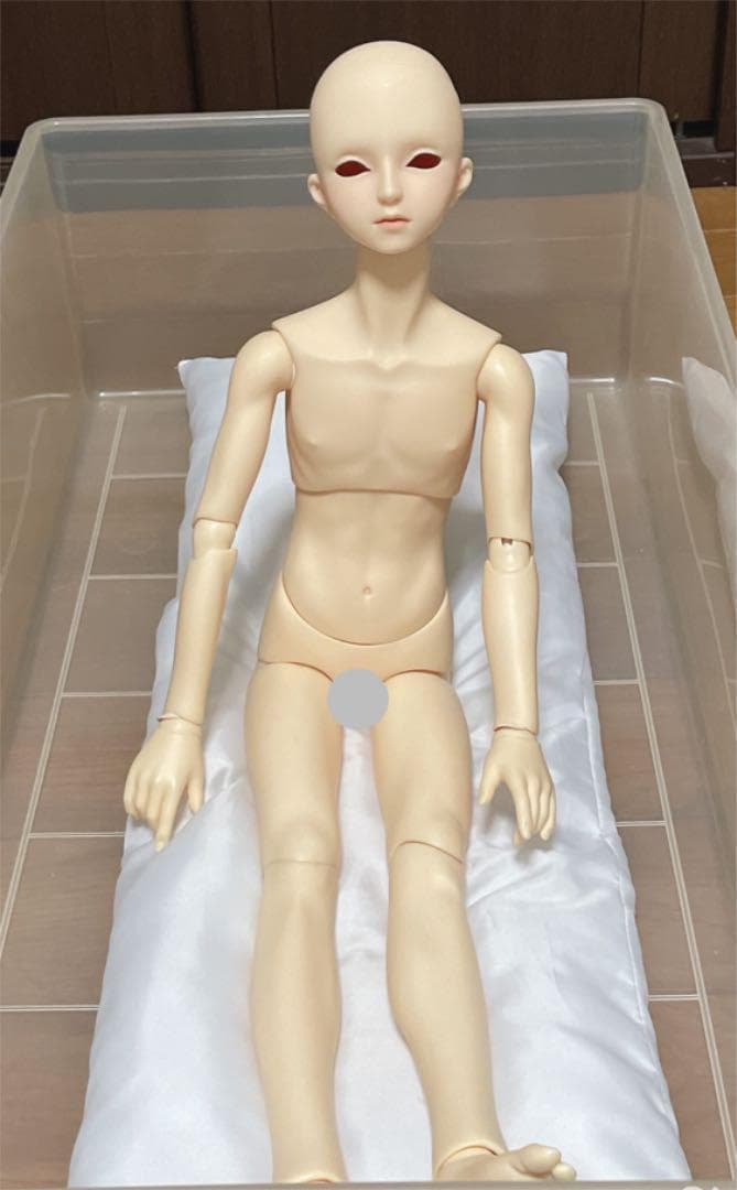 【匿名配送】SD-F-58番 SDGrボディ