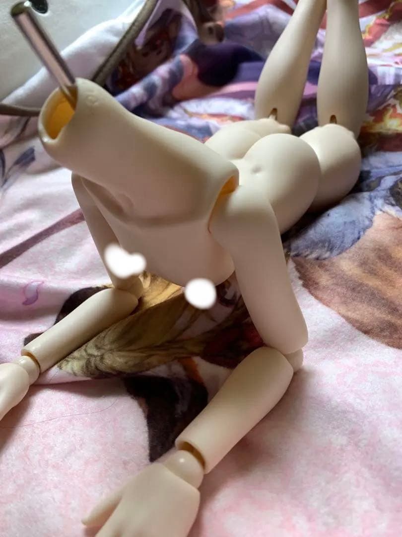 ボディメイク/外皮カット　オーダーページ