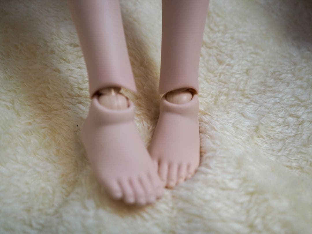 ボディメイク/外皮カット　オーダーページ