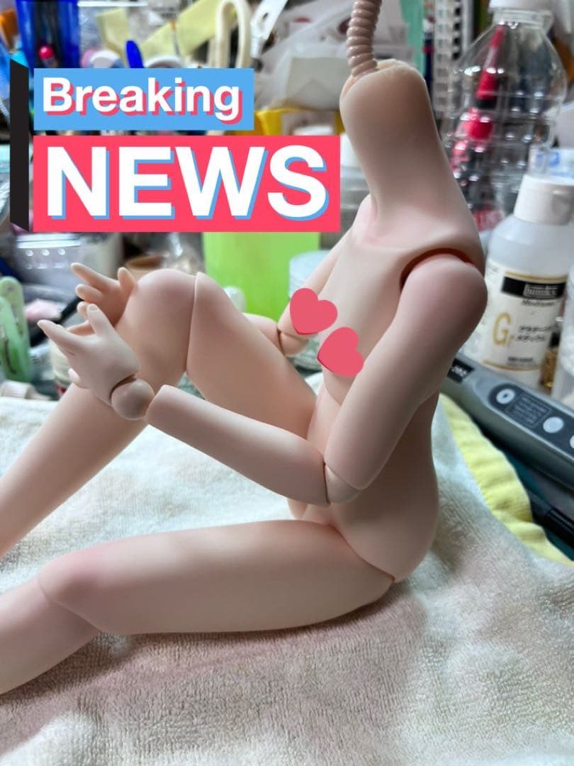 ボディメイク/外皮カット　オーダーページ