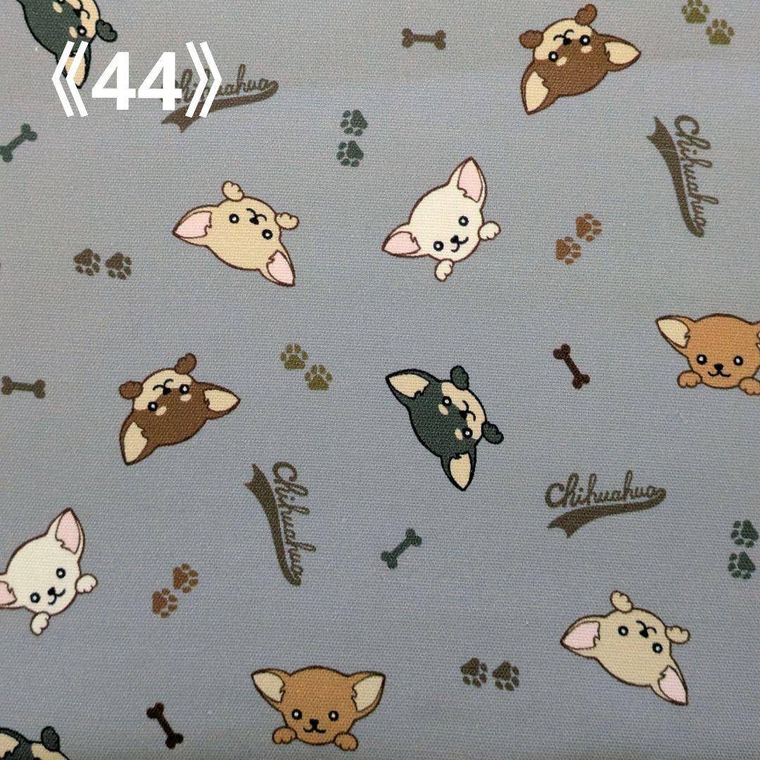 ペット✩犬✩マナーベルトオーダー用 サンプル（確認用）チワワ