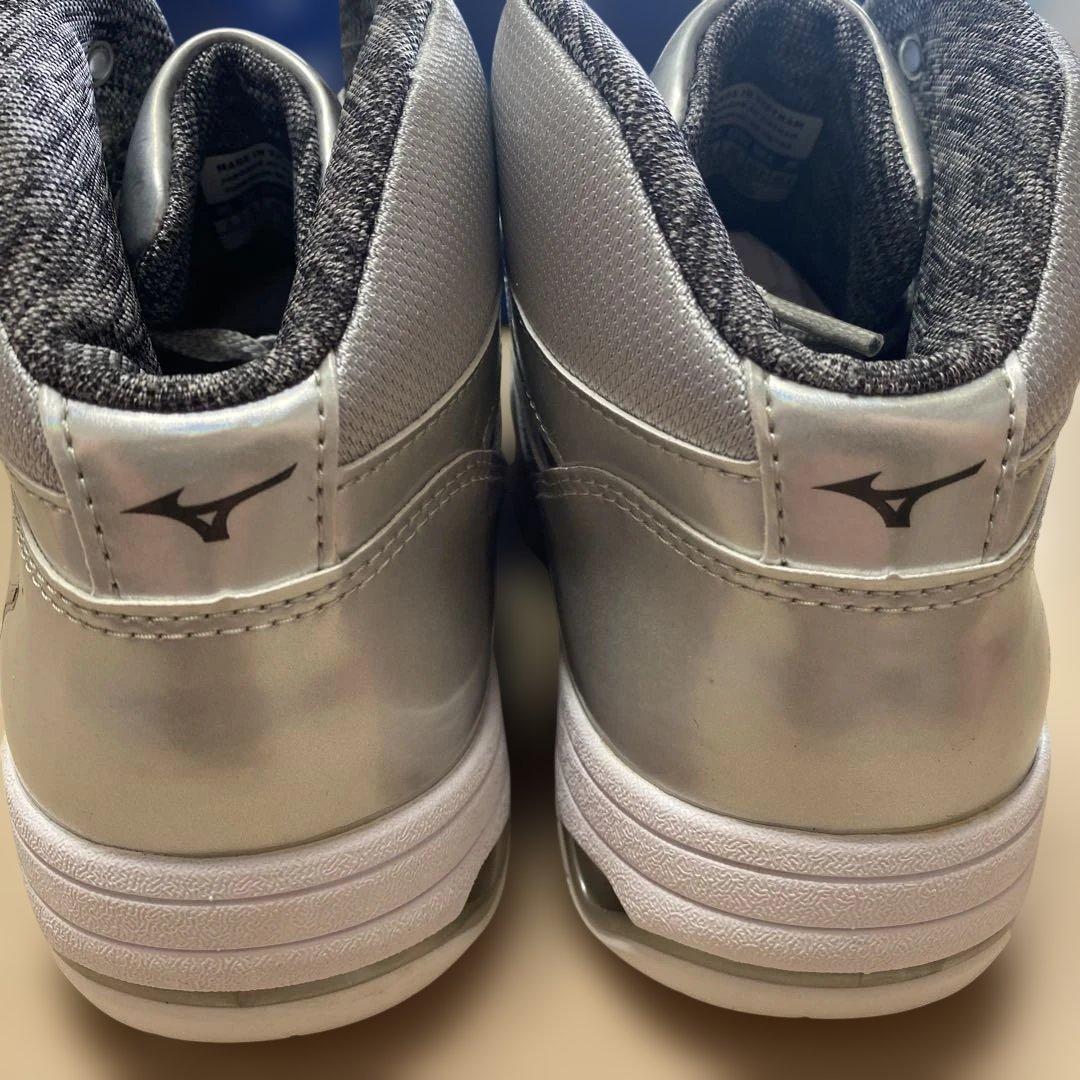 Mizuno ウェーブダイバース DE 27.0cm シルバー