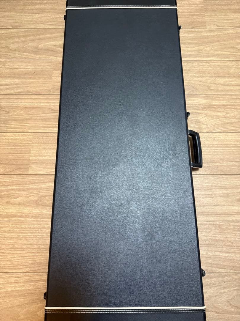 初期 FERNANDES MG用 ハードケース