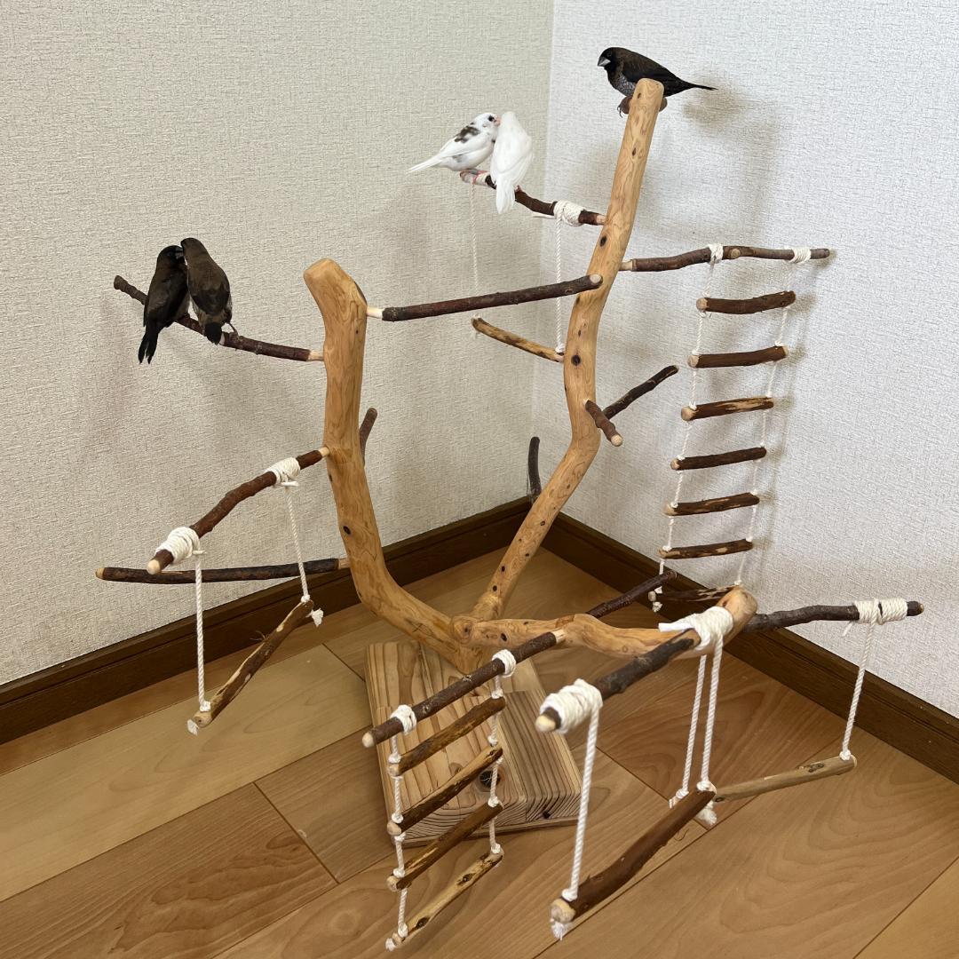 【小鳥用】あちこちブランコ&はしご付♬バードジム