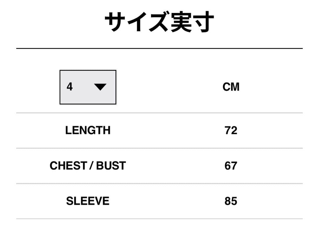 SACAI＜サカイ＞×CARHARTT＜カーハート＞スウェットフーディ