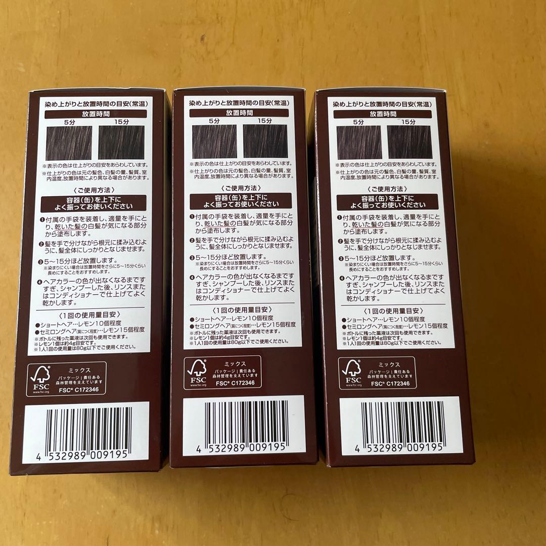 ÉCLAT ボタニカルエアカラーフォーム 3個セット ダークブラウン