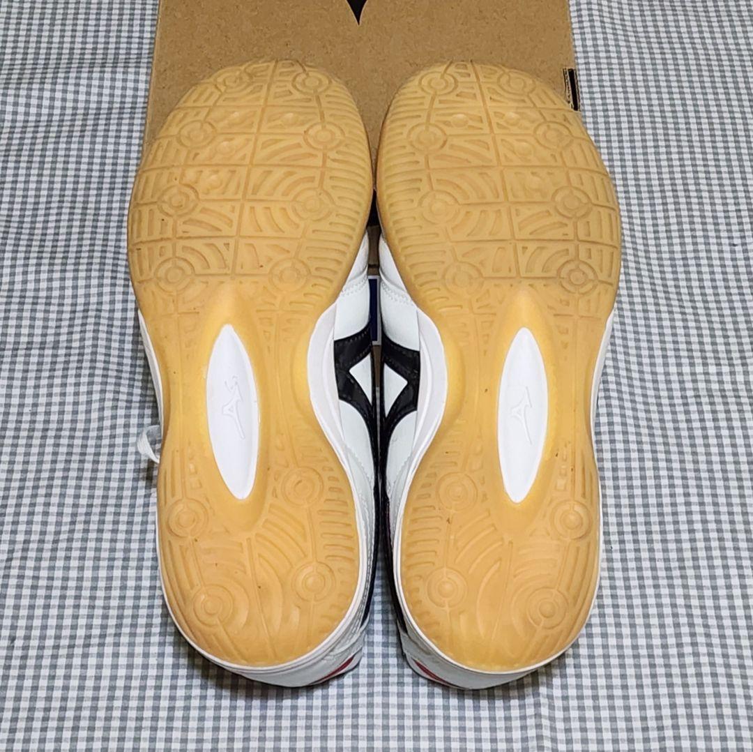 【屋内用25.0cm】Mizuno Morelia フットサルシューズ 超美品