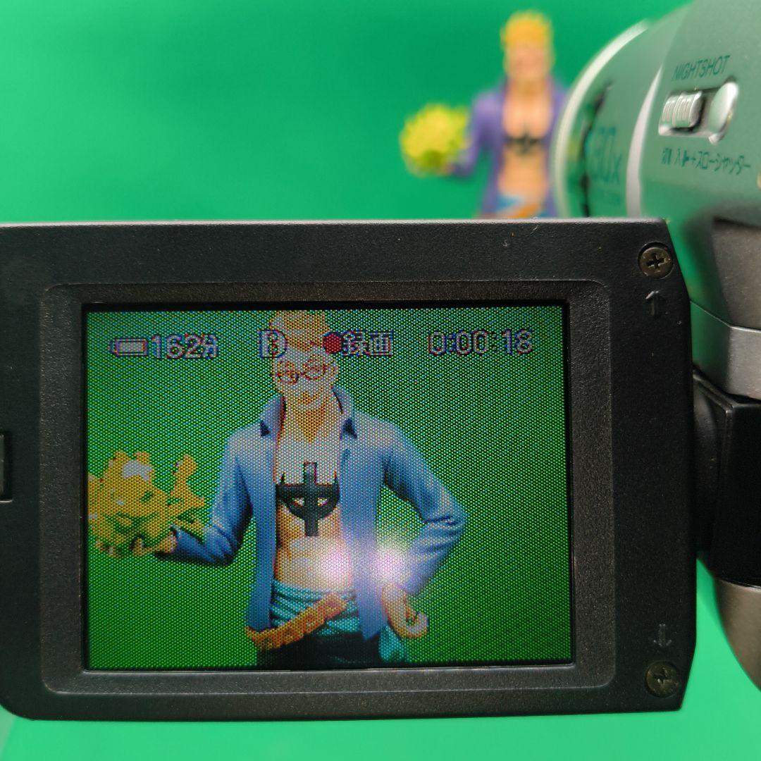 【動作確認済】SONY ソニーDCR-TRV110 ナイトショット付き