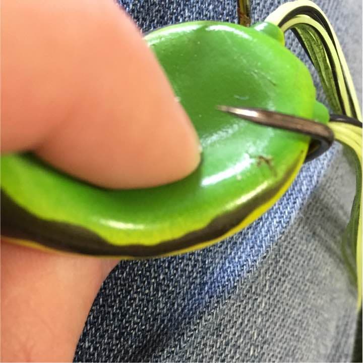 アイオビー