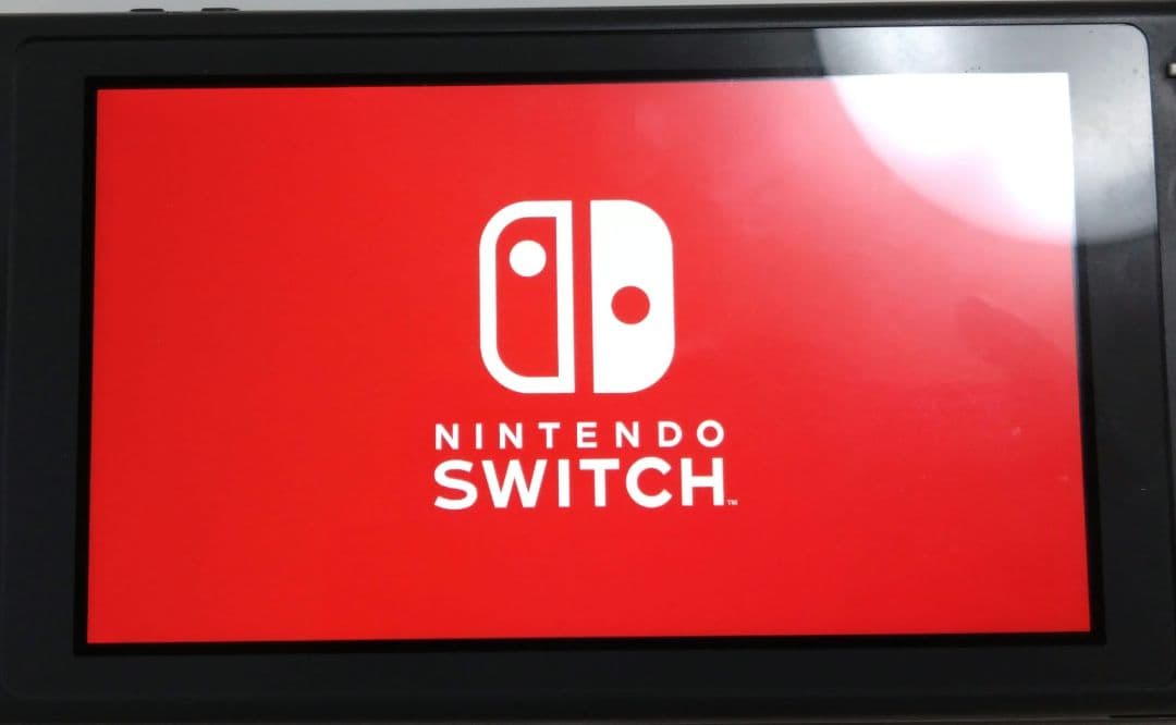 Nintendo Switch Lite グレー 本体のみ