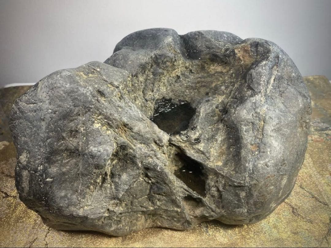 6912 八海山石 溜まり石 ウブ 銘 摩周湖 横30(cm)重量:16.6kg