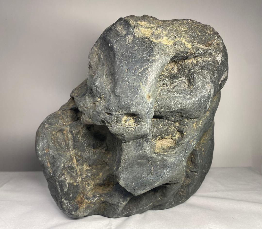 6912 八海山石 溜まり石 ウブ 銘 摩周湖 横30(cm)重量:16.6kg