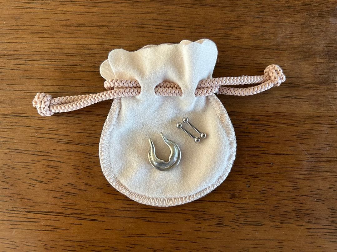 伊勢谷友介 ピアス レア 片耳