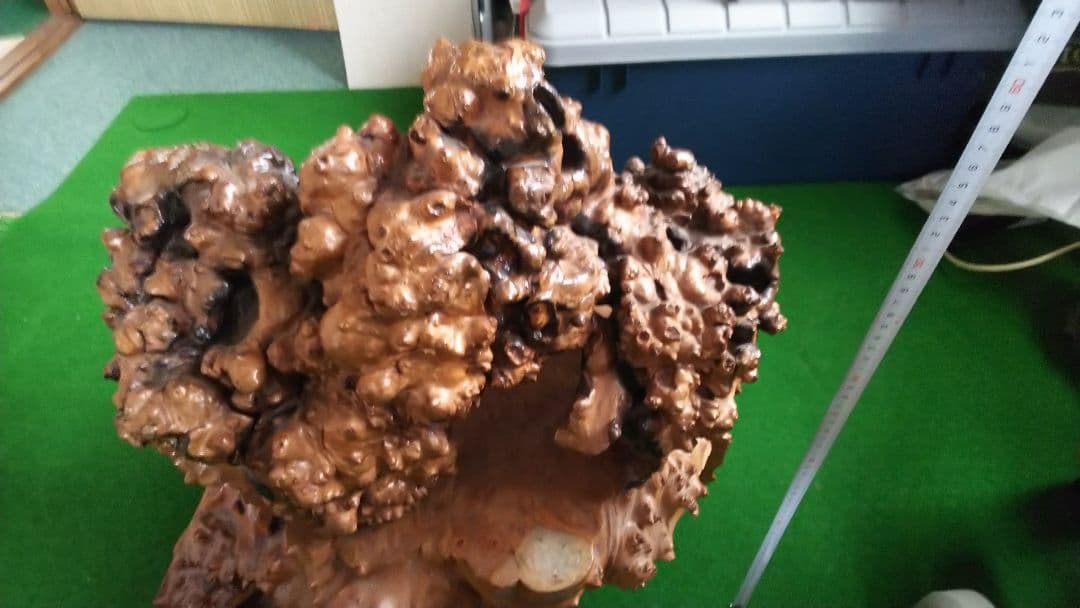 希少品 北海道日高町発 こぶ木（胡桃）、ダケカンバ 置き物