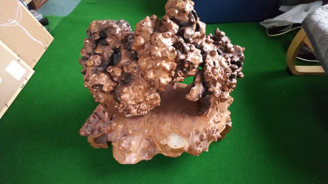 希少品 北海道日高町発 こぶ木（胡桃）、ダケカンバ 置き物
