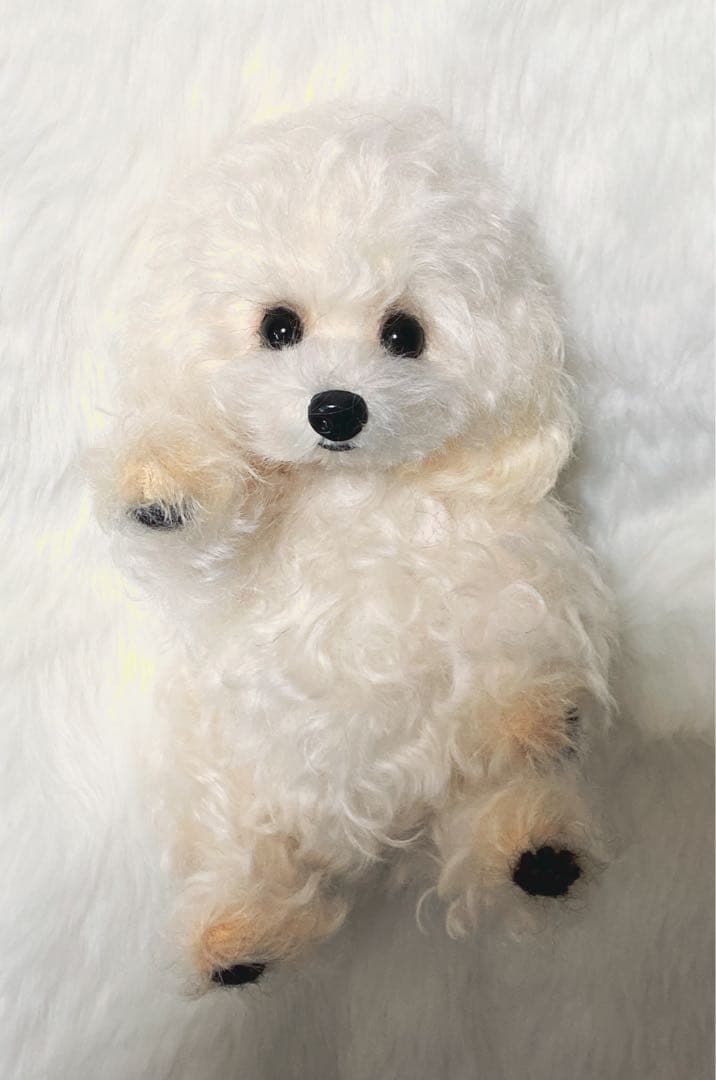 トイプードル　ビションフリーゼ　テディベア　ぬいぐるみ