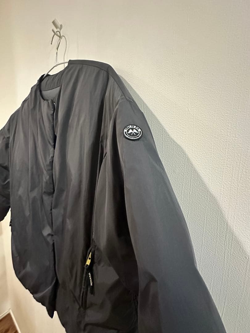 フレンチダックダウン　美品　ピュアルセシン