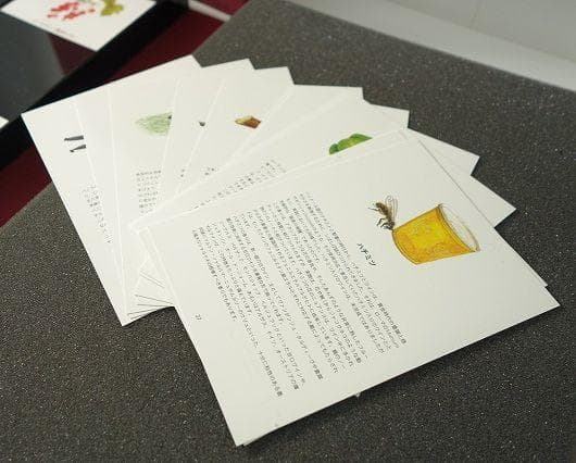 Le Nez du Vin ルネデュヴァン 54種 ワインの香りのサンプル 現状