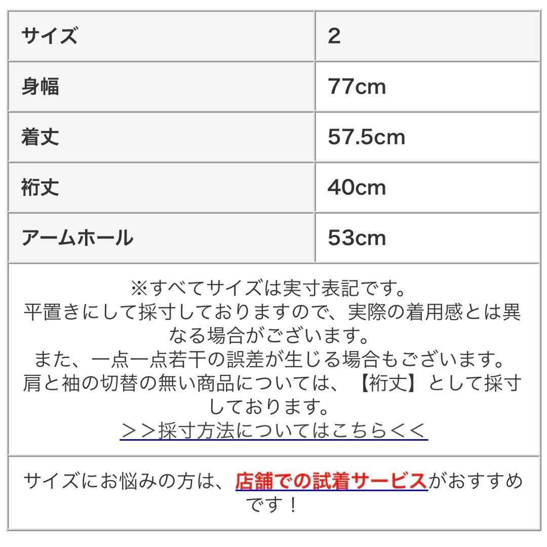 【 solamonat poche 】 ラベンダー　ラミー　シャツ　ブラウス