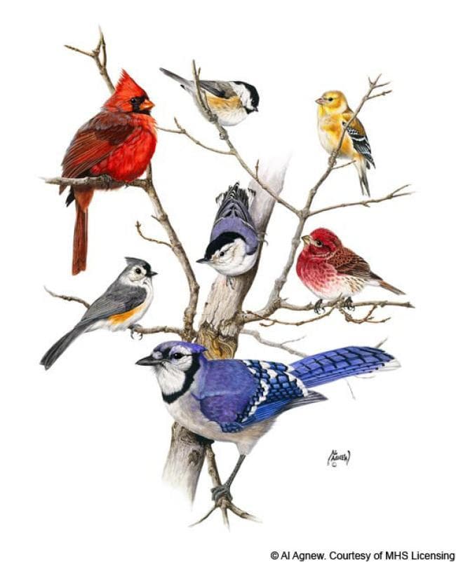 冬の七羽の鳥たち ヴィンテージ ステンドグラス アル・アグニュー 絵画