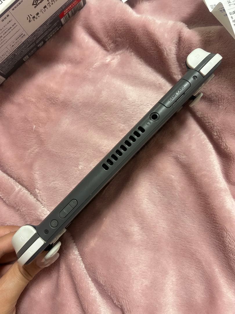 Nintendo Switch Lite スイッチライト 本体 マイクラソフト付